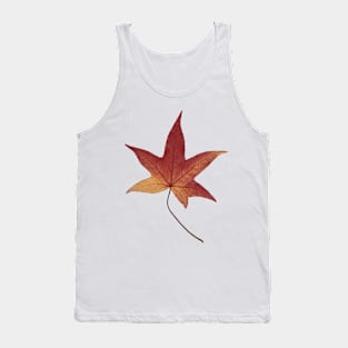 Red chestnut leaf from Brittany, France. Tank Top